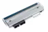 Термоголовка TSC TTP-246M Pro (203 dpi)