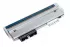 Термоголовка TSC TTP-244 Pro (203 dpi)